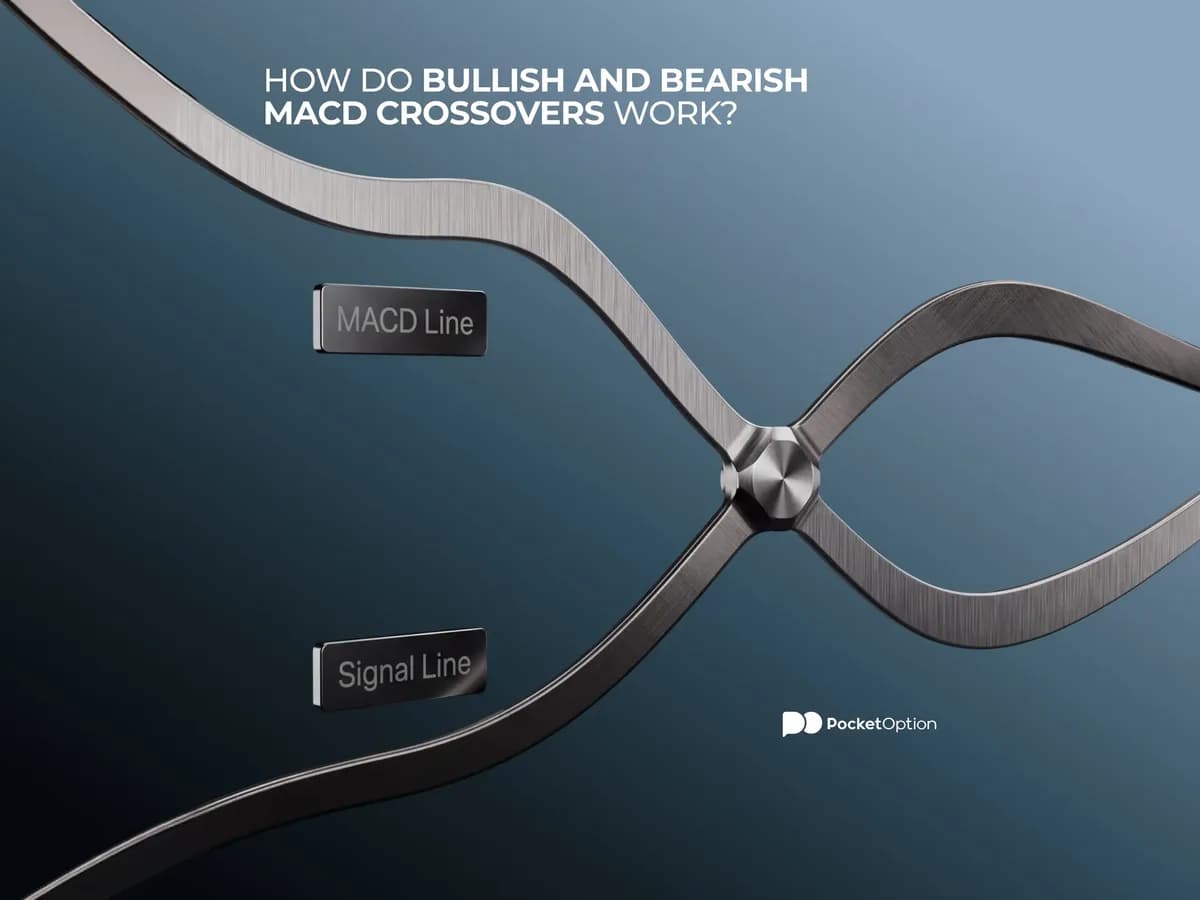 MACD line crossing above the signal line — bullish crossover example