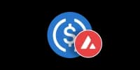 USD Coin (USDC) Avalanche